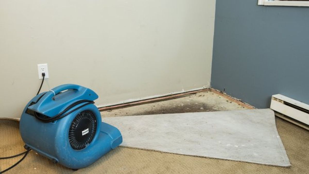 tecnicas para secar paredes mojadas humedas