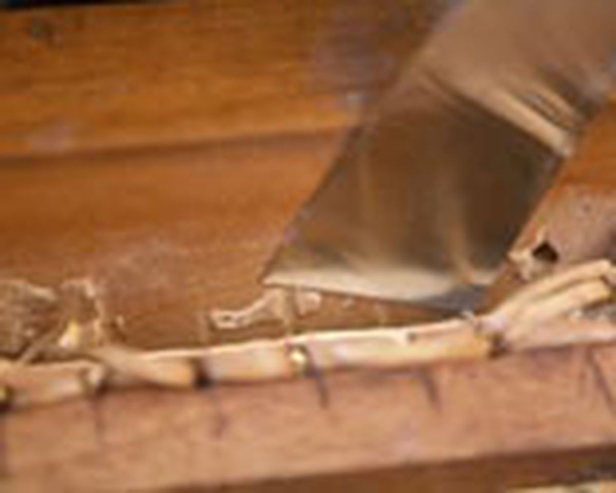 brico 0481 2 restauracion silla clasica paso 2