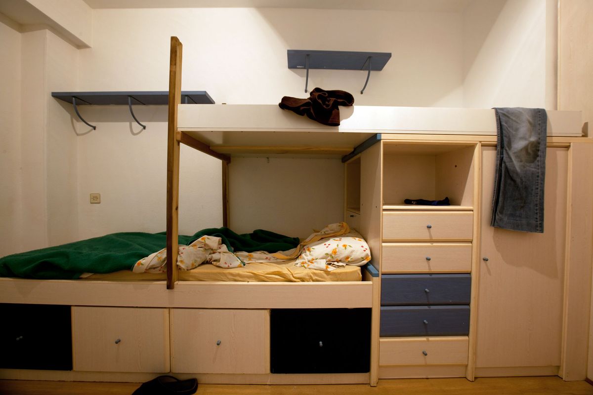 Programa de Decogarden del 19 de diciembre de 2015 6