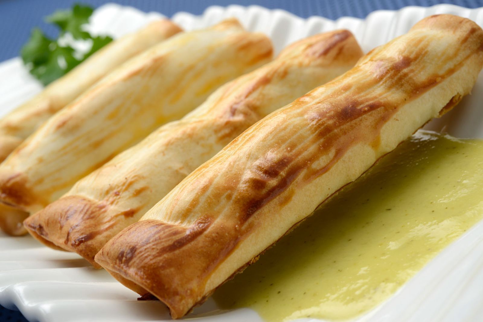 509 Canutillos crujientes con salsa de calabacín (5124) xl