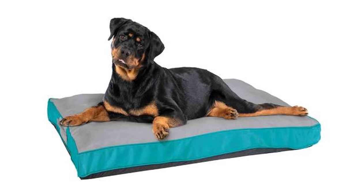 cama de perro para exteriores impermeable modelo3 lidl mascotas.jpg