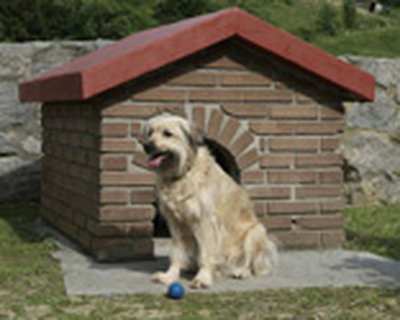 caseta 7