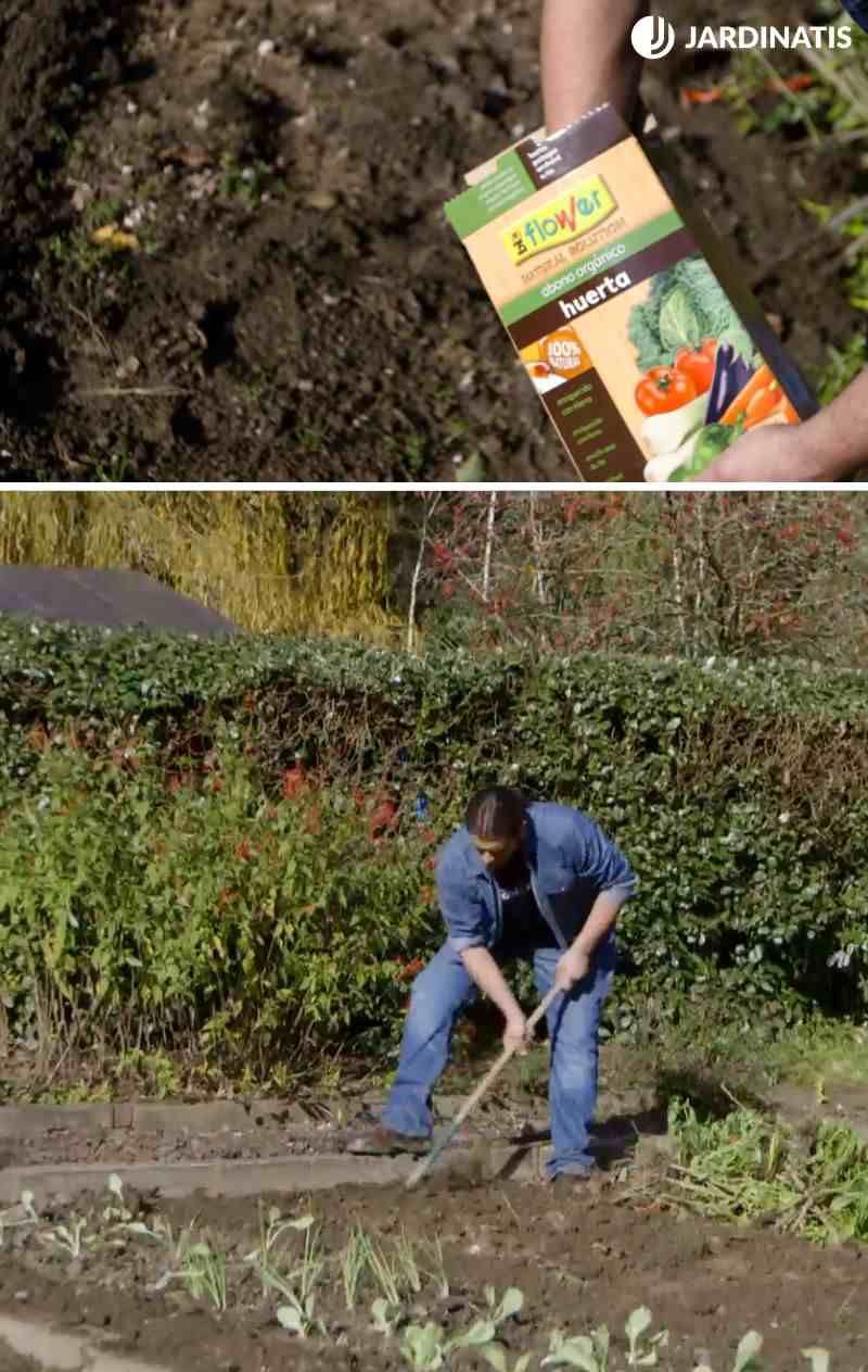 Abona la huerta