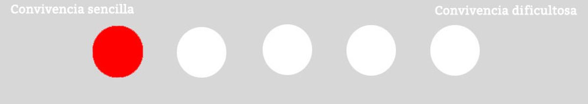 convivencia gatos cobayas