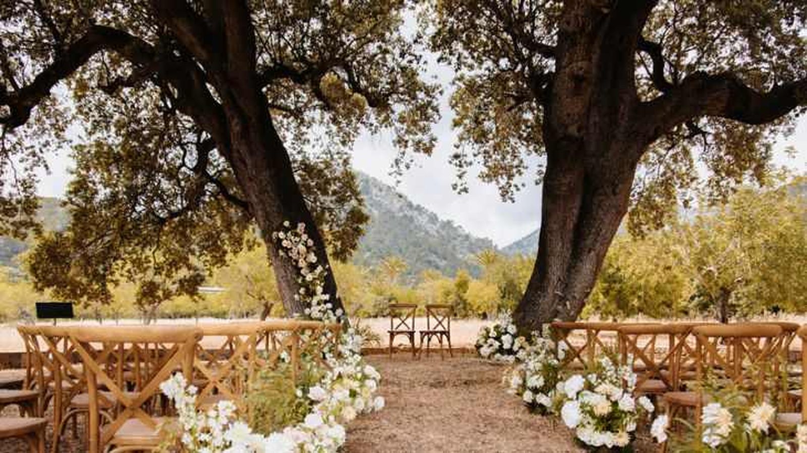Árbol presidiendo la boda