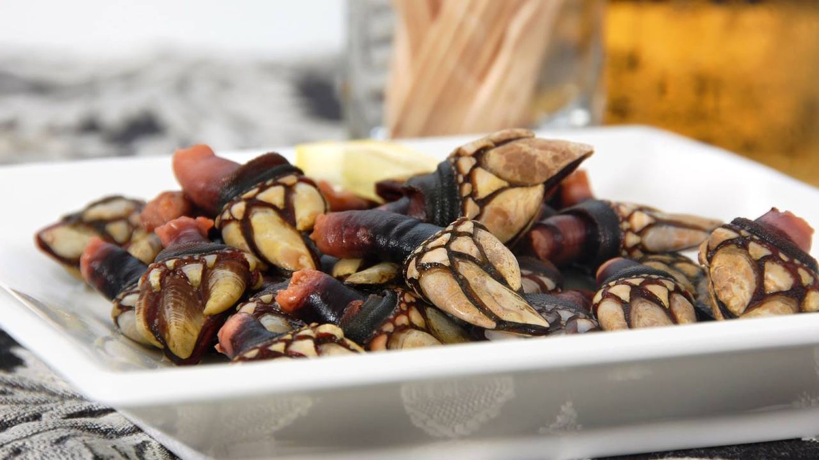 cocer percebes portada