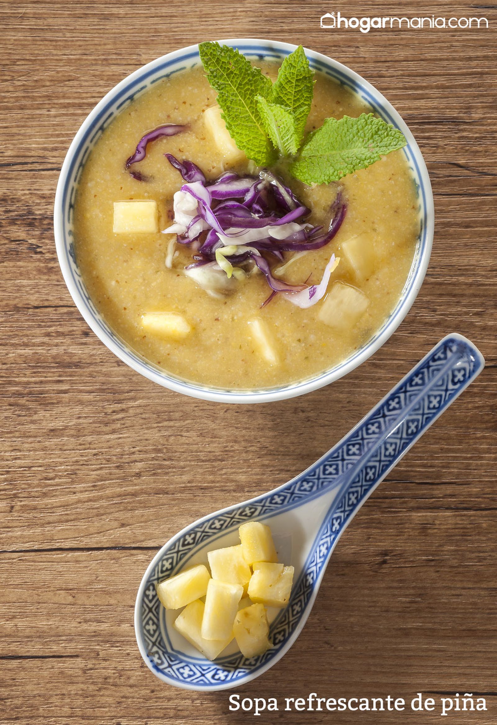 CABI0071 Zuhaitz Sopa refrescante de pina vertical xl