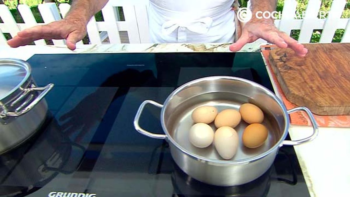 KARL7006 huevos gallega p1