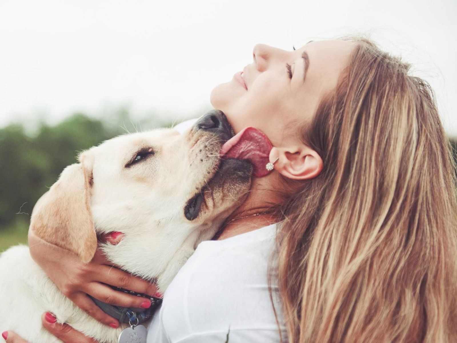Los perros sí son capaces de enamorarse de quienes les brindan amor y seguridad.