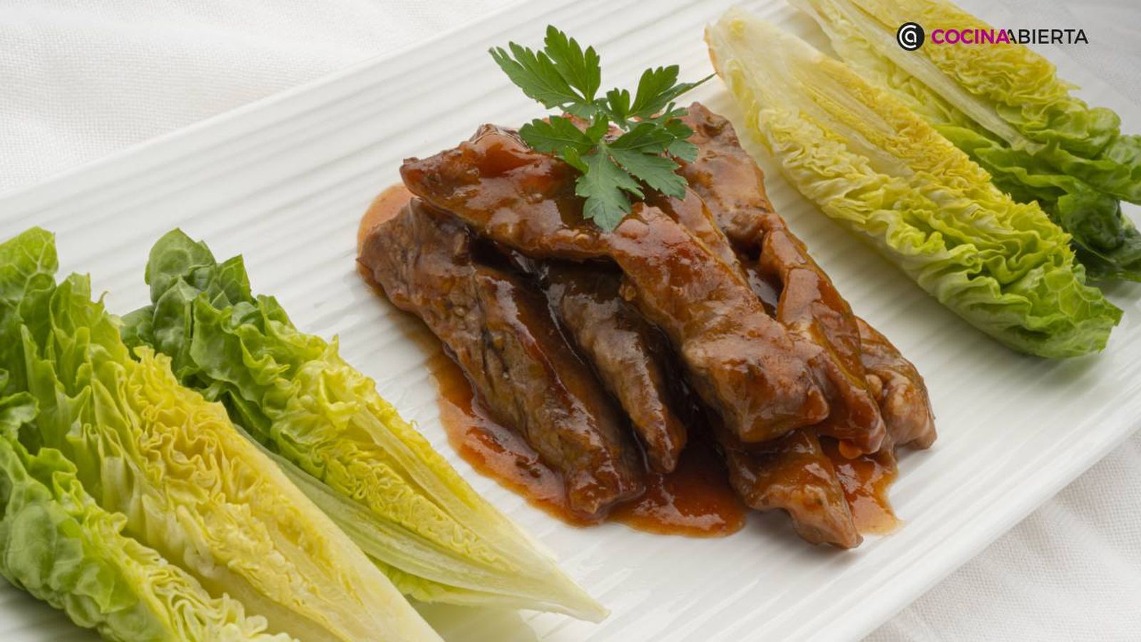 karl7165 largarto salsa xl