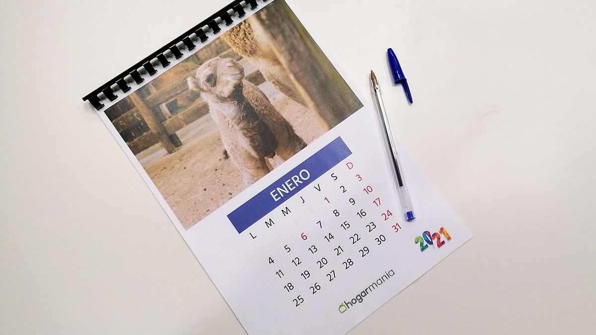 calendario mascotas 2021