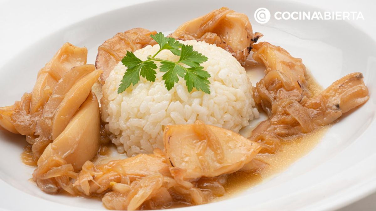 karl6724 chocos encebollados xl