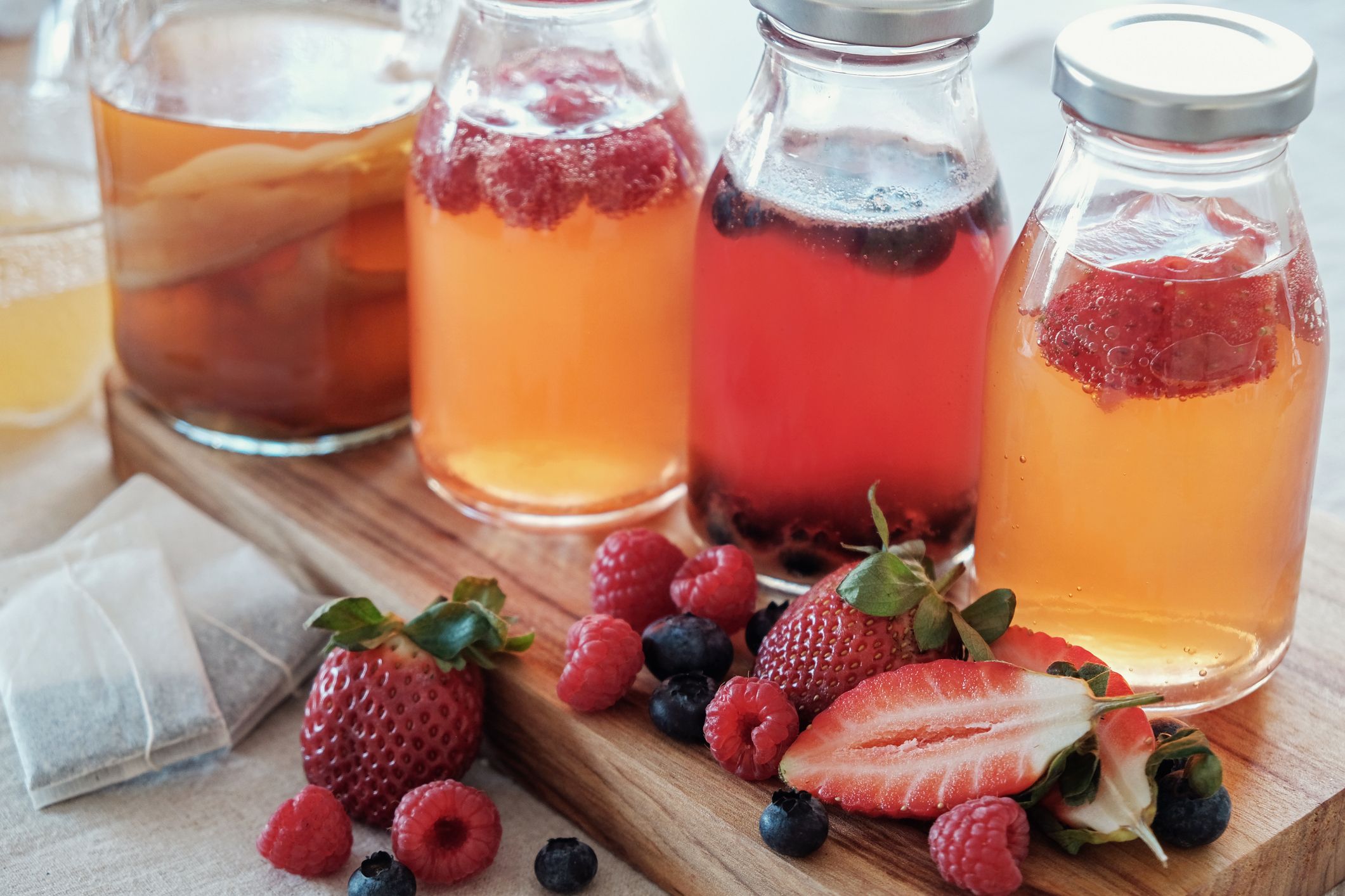 kombucha probiotico