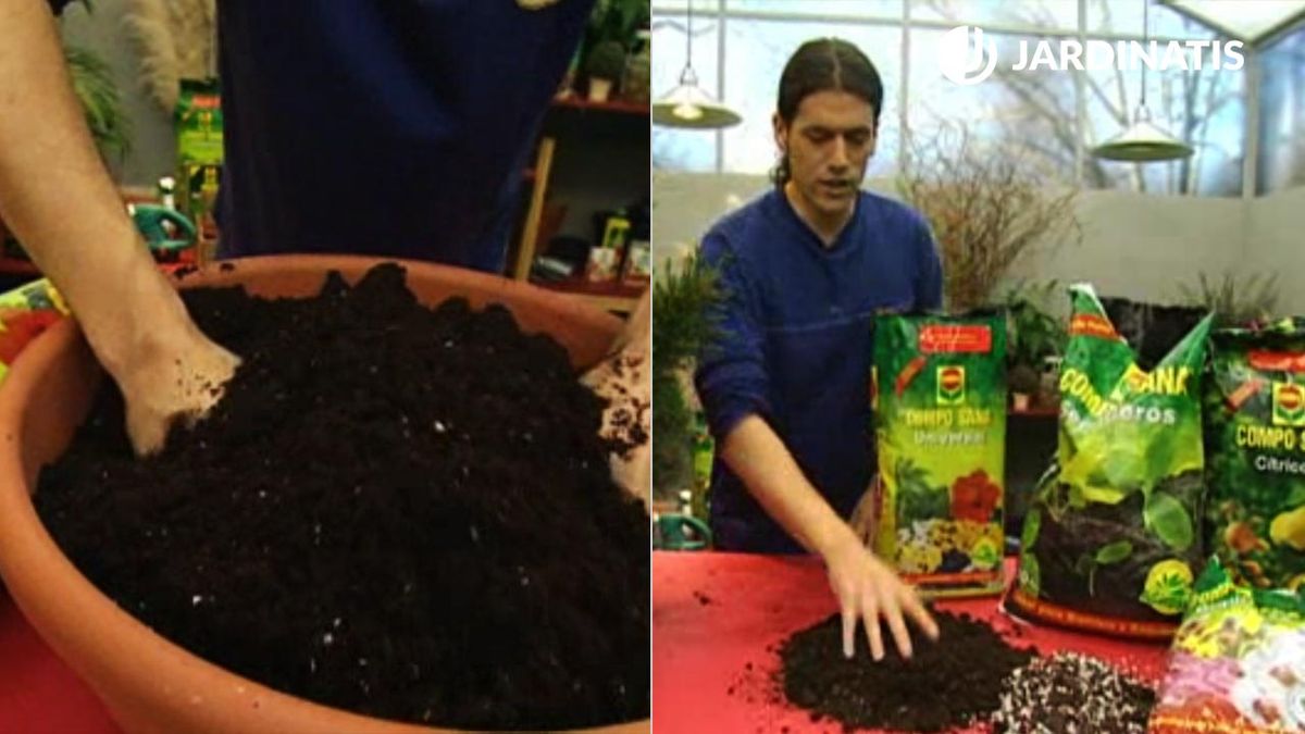 sustrato tipos plantacion xl brico 447