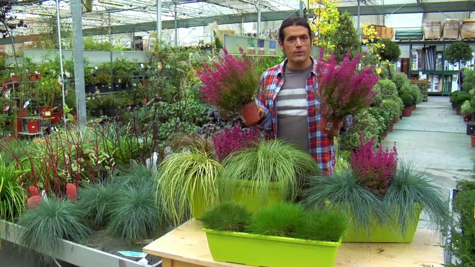 deco jardin 507 composiciones florales brezo gramineas xl