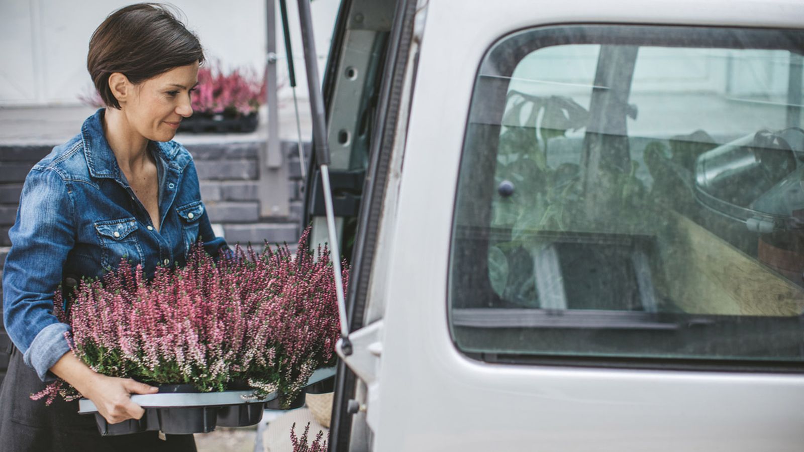 trasplantar plantas en el coche