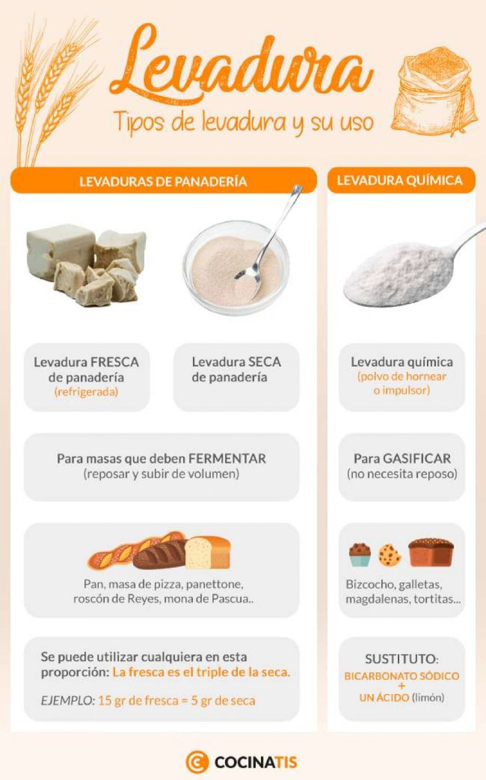 Tipos y usos de las levaduras