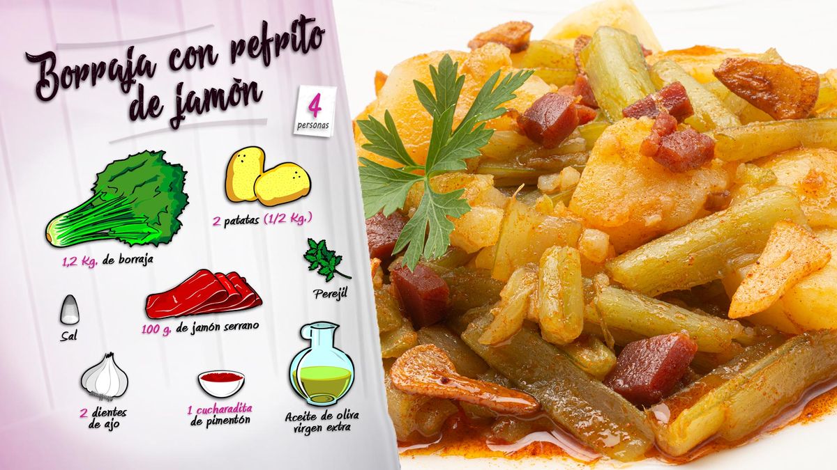 karl6630 borraja refrito ing