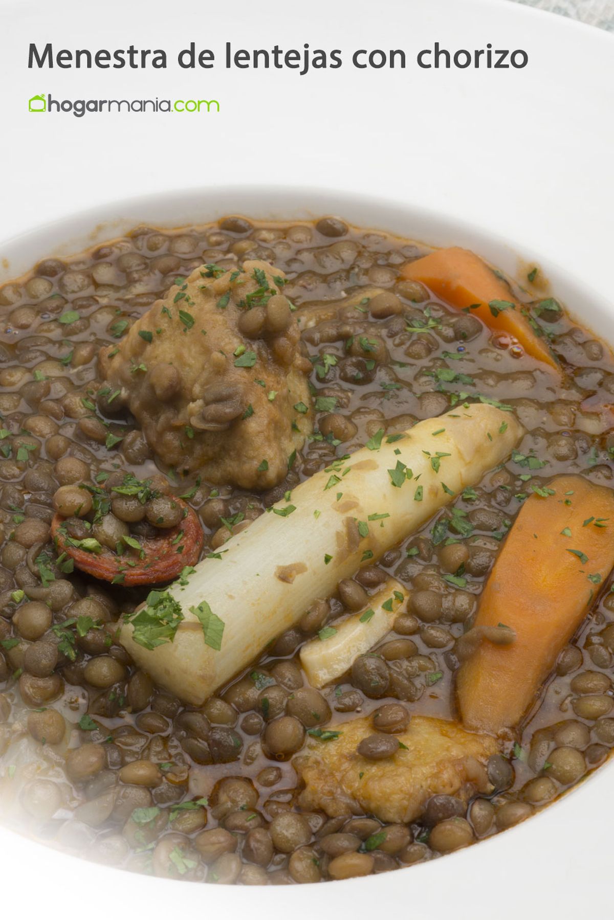 menestra lentejas pt