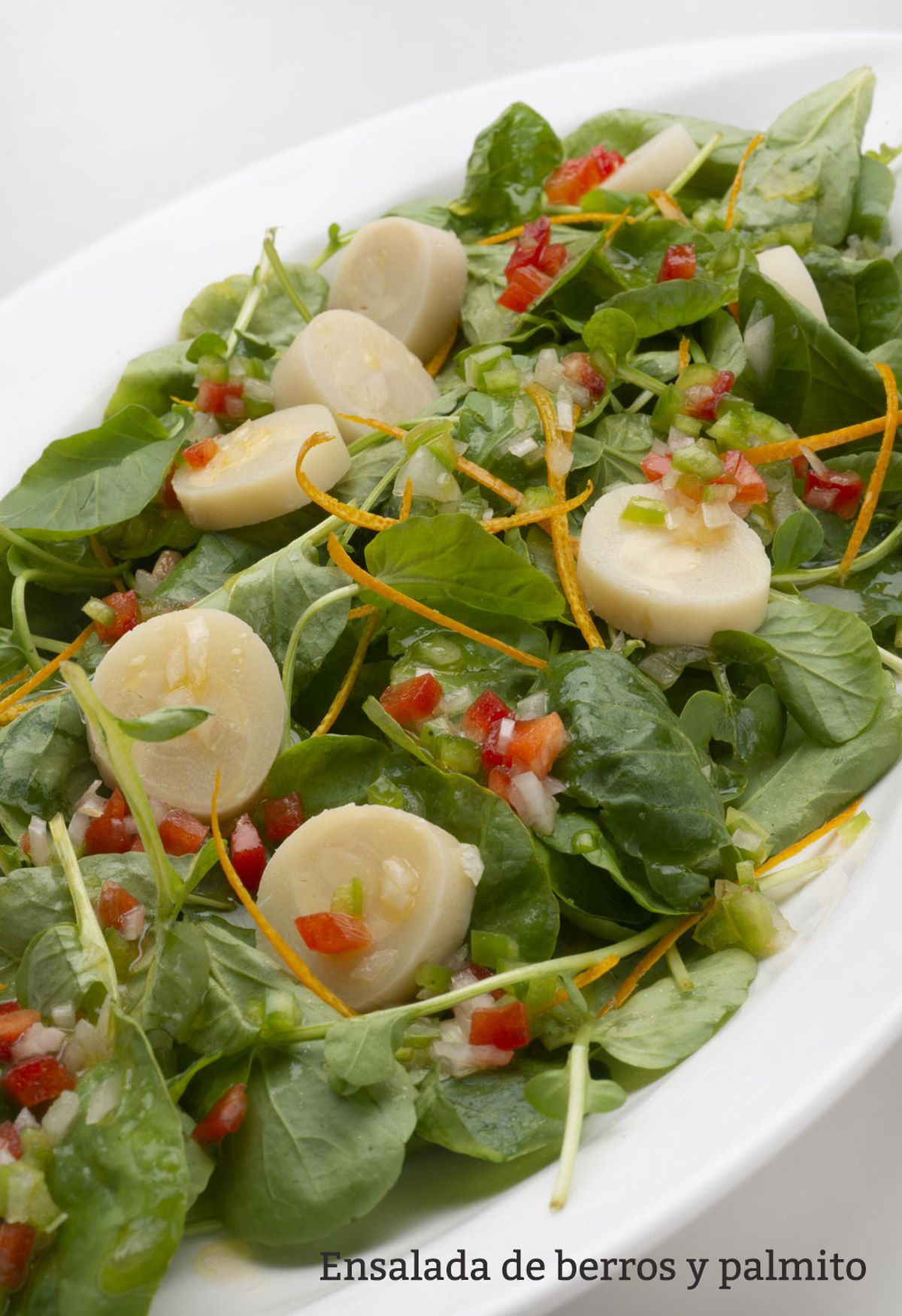 ensalada berros vertical