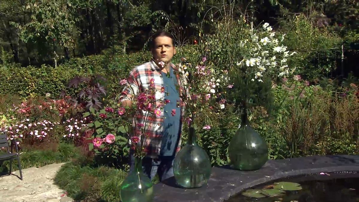 deko 0707 jardineria anemona japonica composicion floral