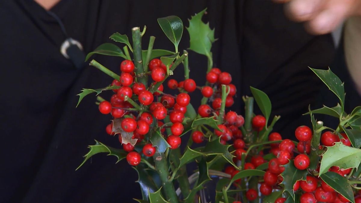 DEKO_JARDIN_604_Bayas invierno centros florales acebo