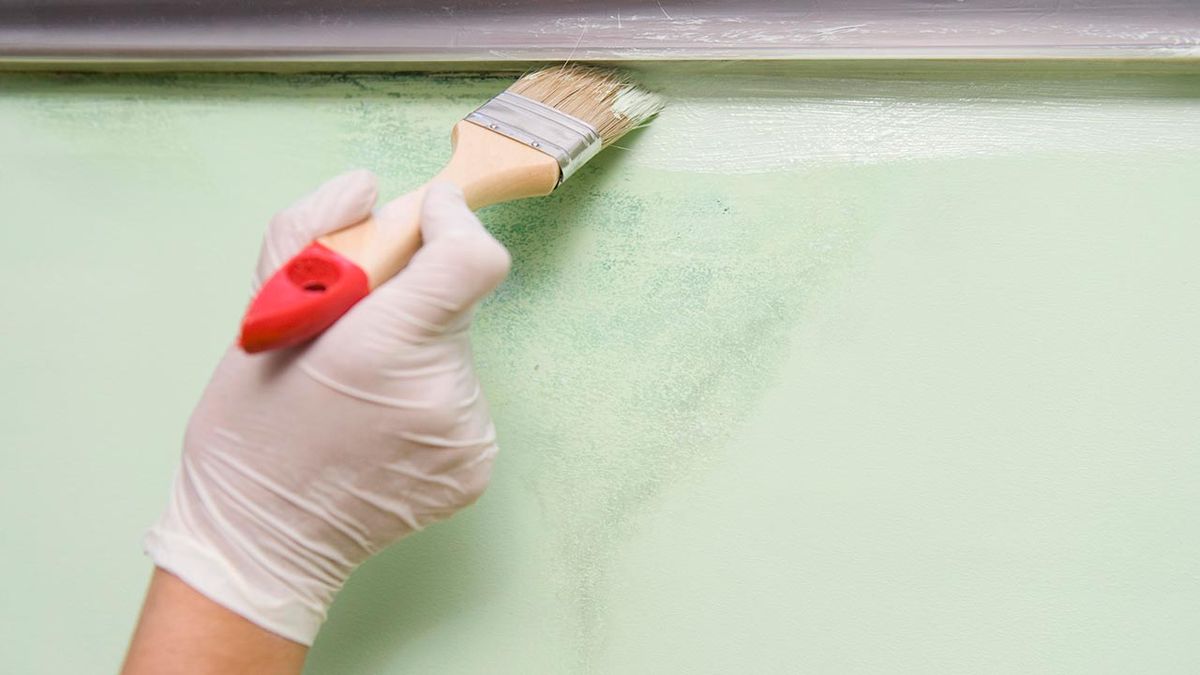 brico 0535 1 eliminar mancha humedad paso 6