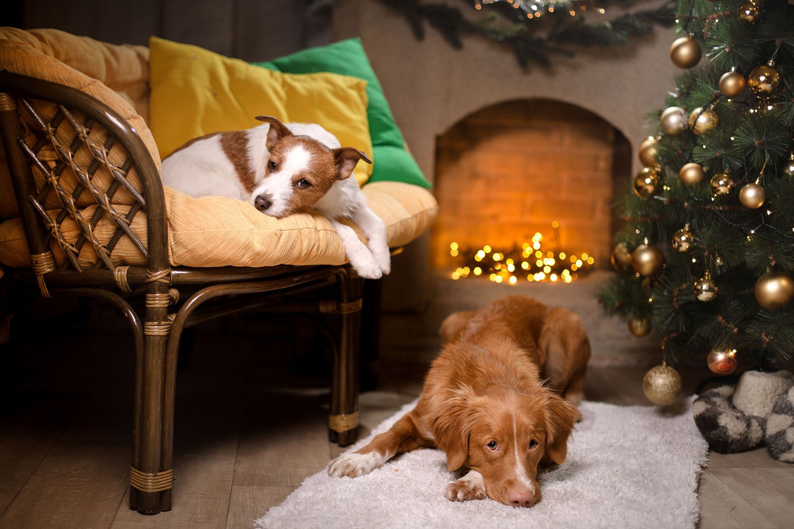 La Navidad es una época llena de reuniones sociales.