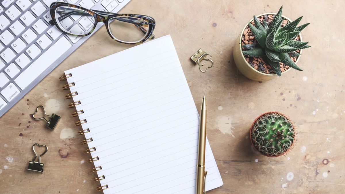 suculentas escritorio de la oficina xl