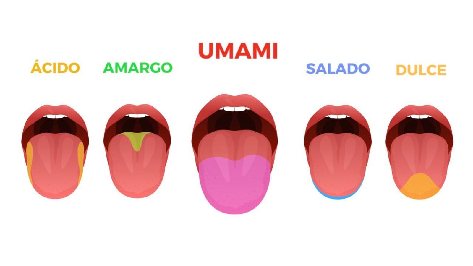 Sopa de miso japonesa