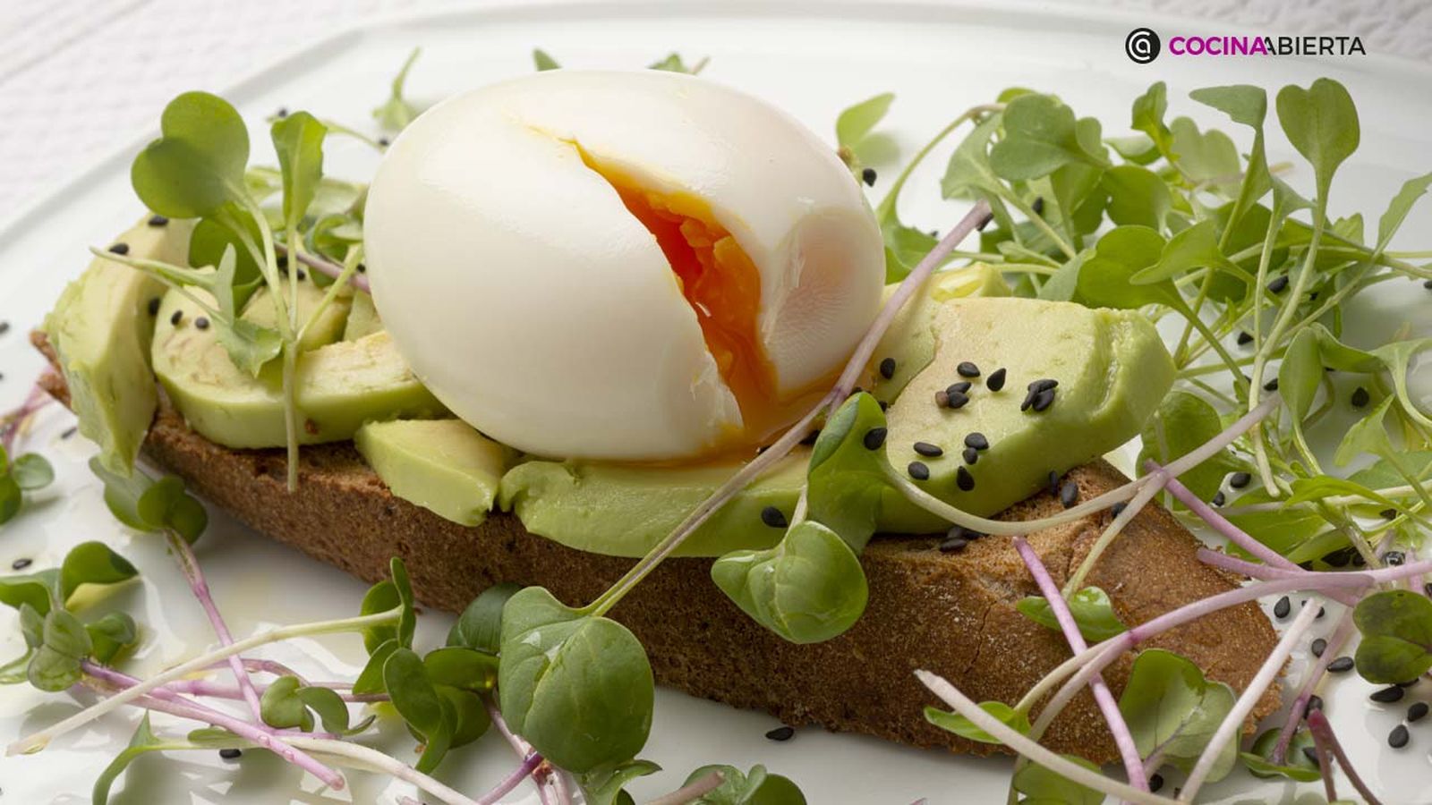 karl6847 huevo aguacate xl