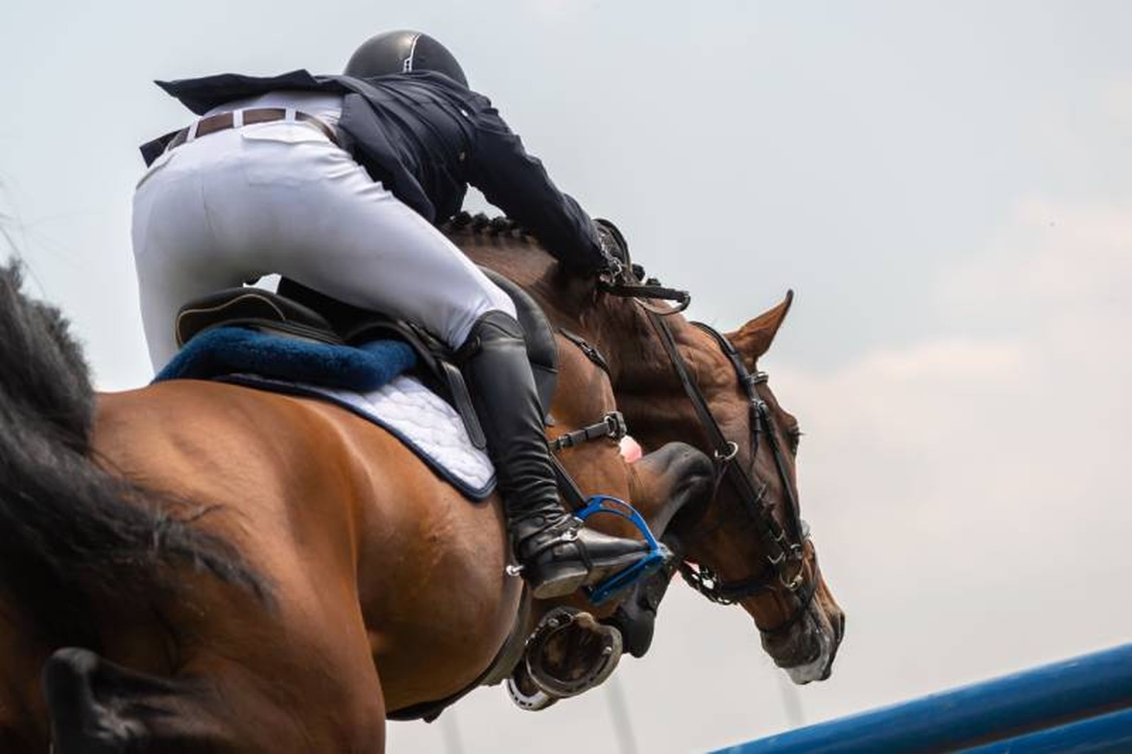 Proporciona a tu caballo un entorno que garantice su seguridad y comodidad.