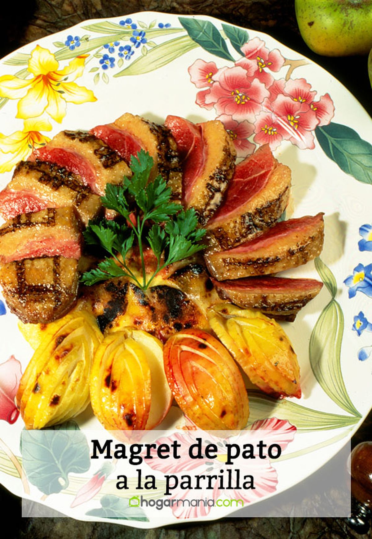 108 2 magret pato parrilla pin