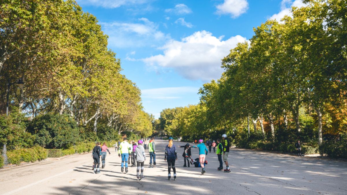 que hacer en madrid 5 planes a los que no te puedes resistir el retiro