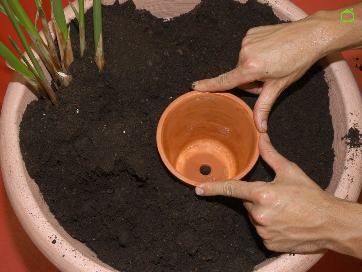 Introduce el mini tiesto de barro en el sustrato.