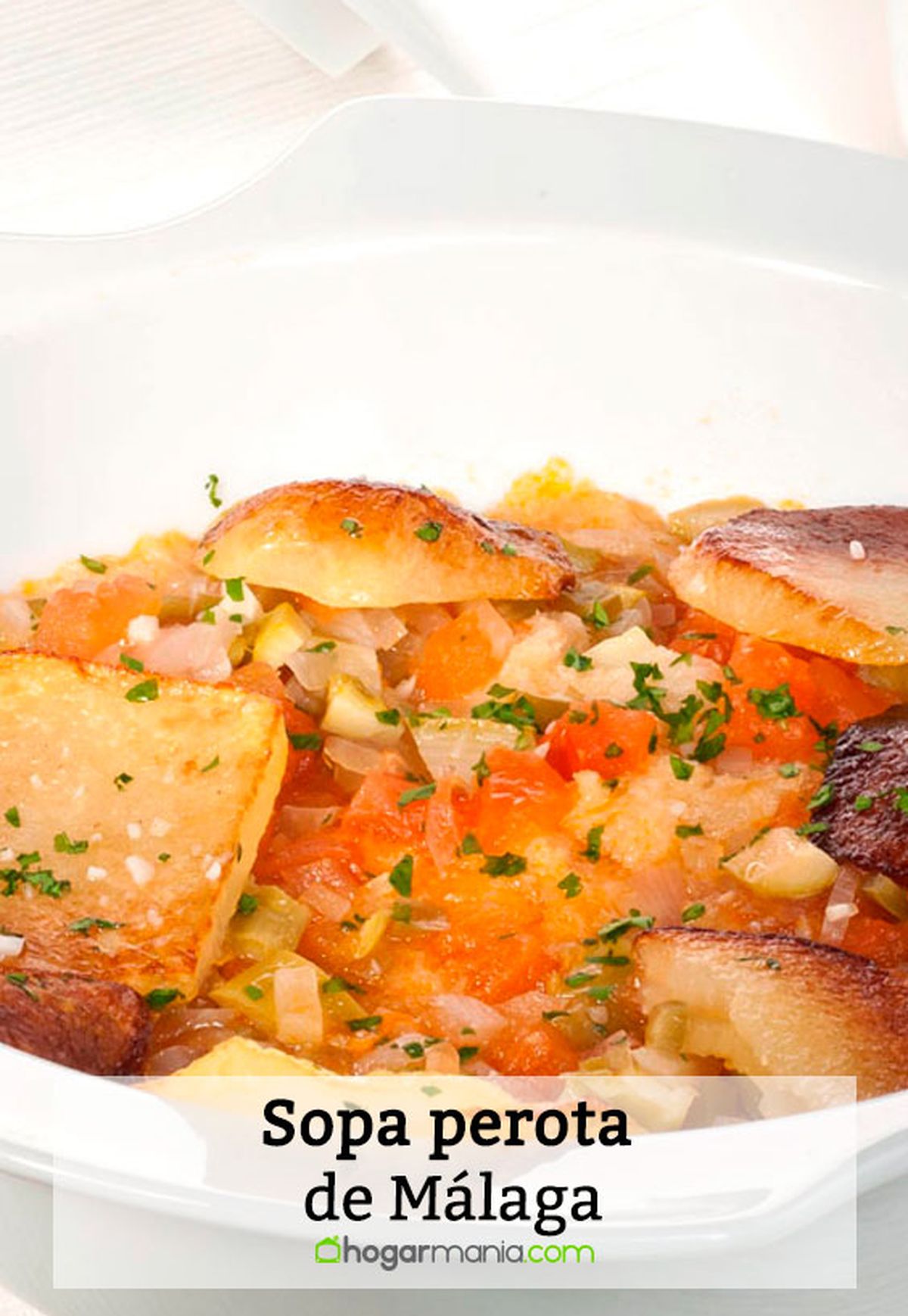 sopa perota malaga pin