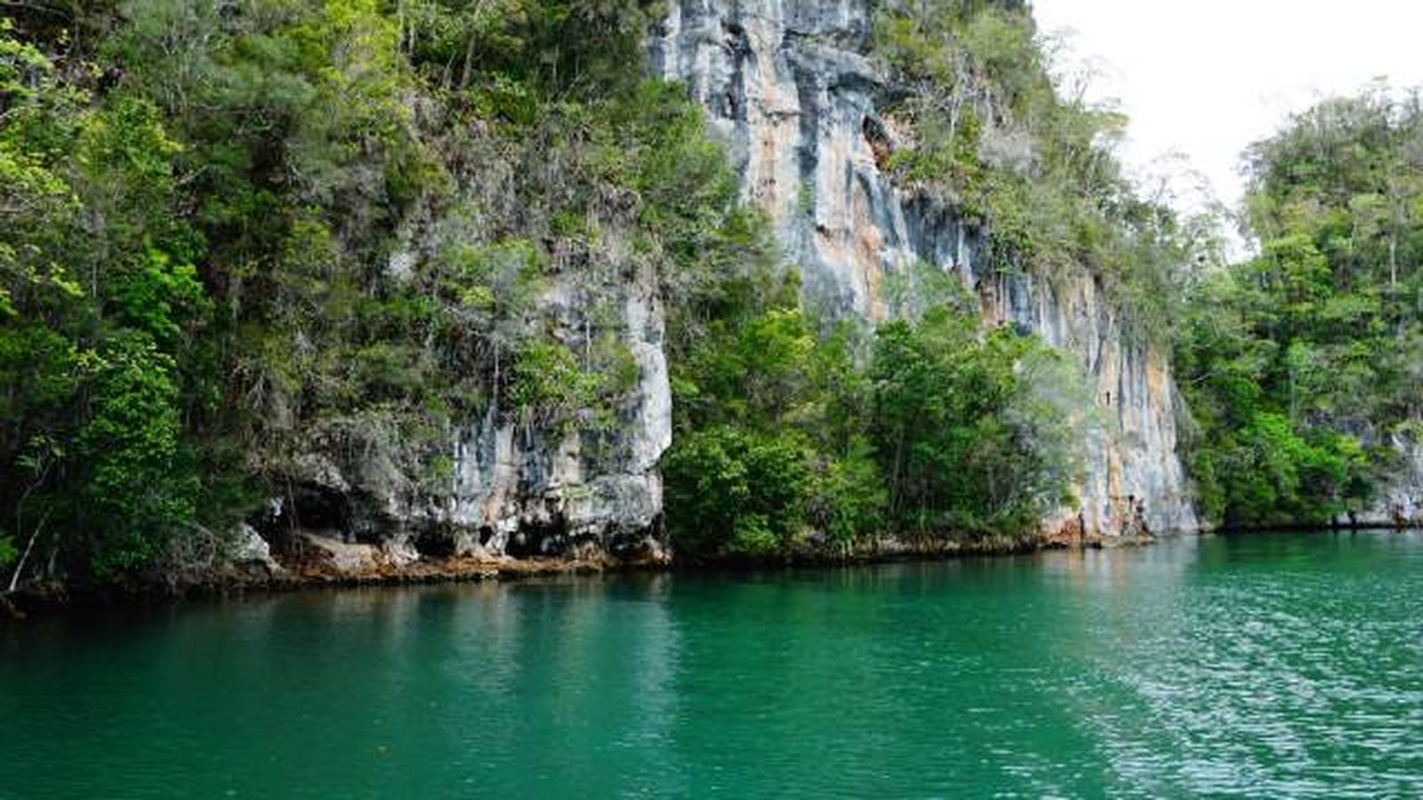 parque natural de los haitises el conquistador del fin del mundo 1