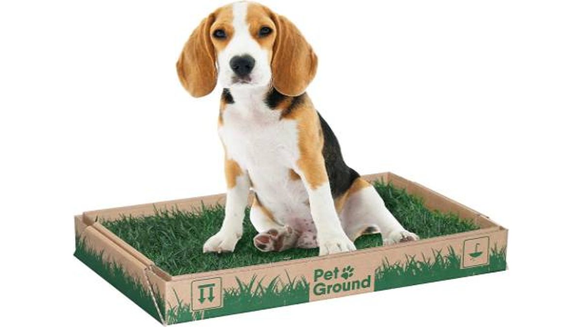 baño ecologico amazon