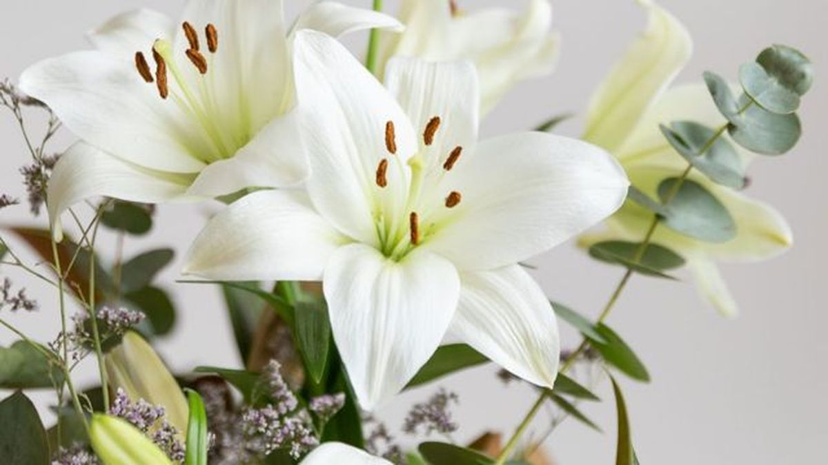 ramos de flores de colvin