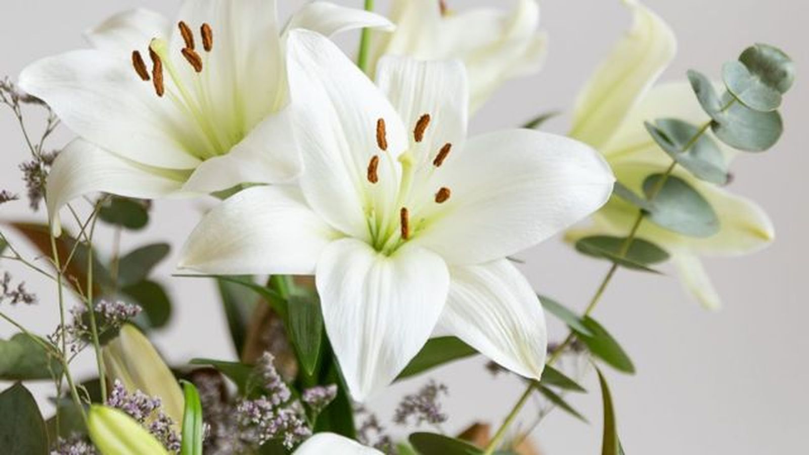 ramos de flores de colvin