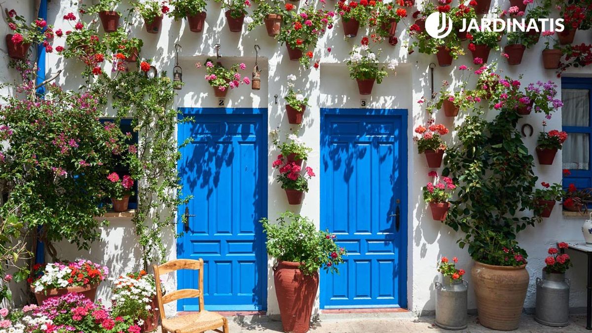 plantas clave patios andaluces xl