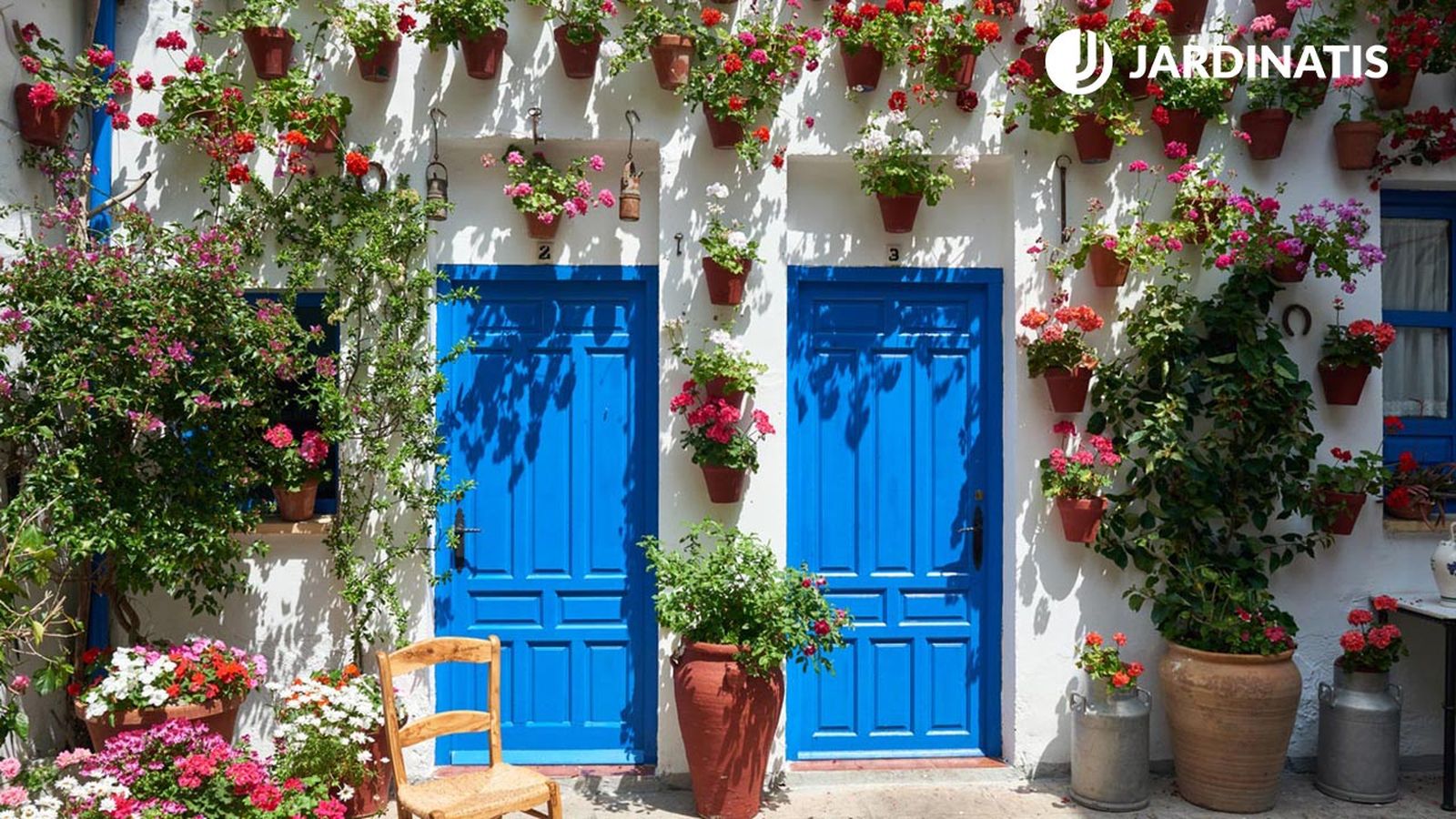 plantas clave patios andaluces xl