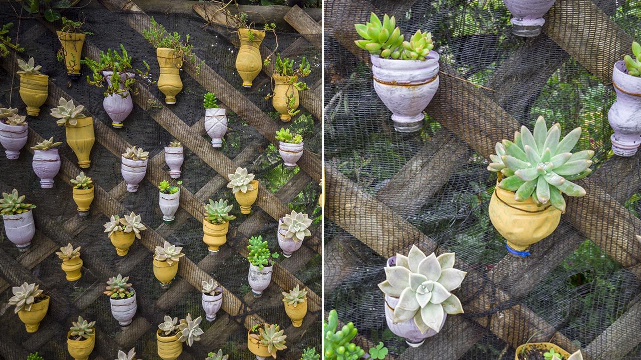 Botellas de plástico formando un jardín vertical