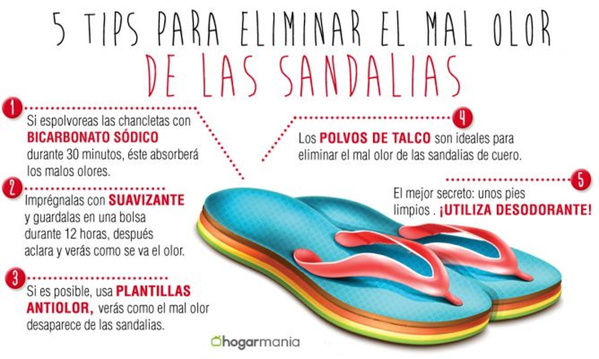 eliminar el mal olor de las 668x400x80xX