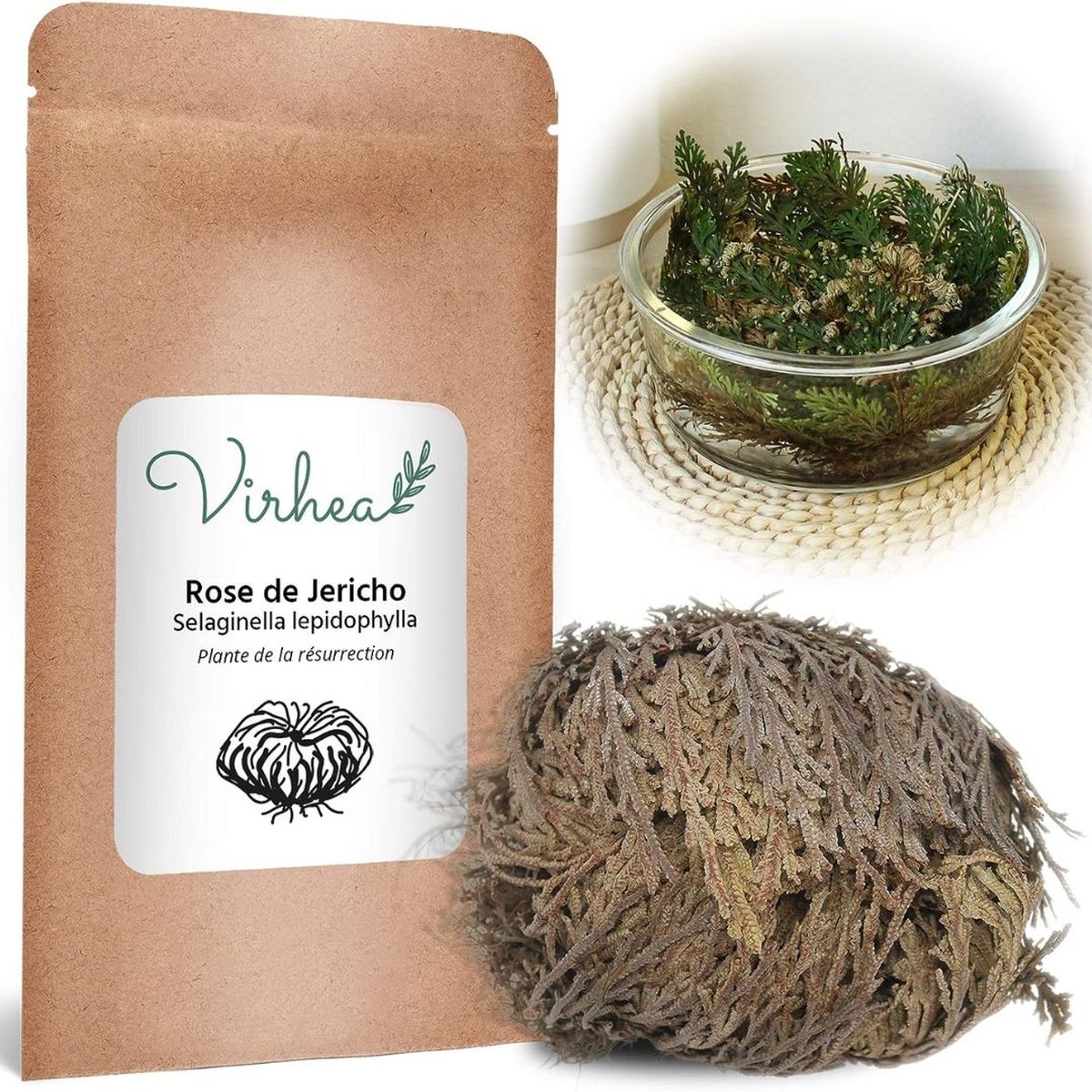 planta de la resurrecion amazon