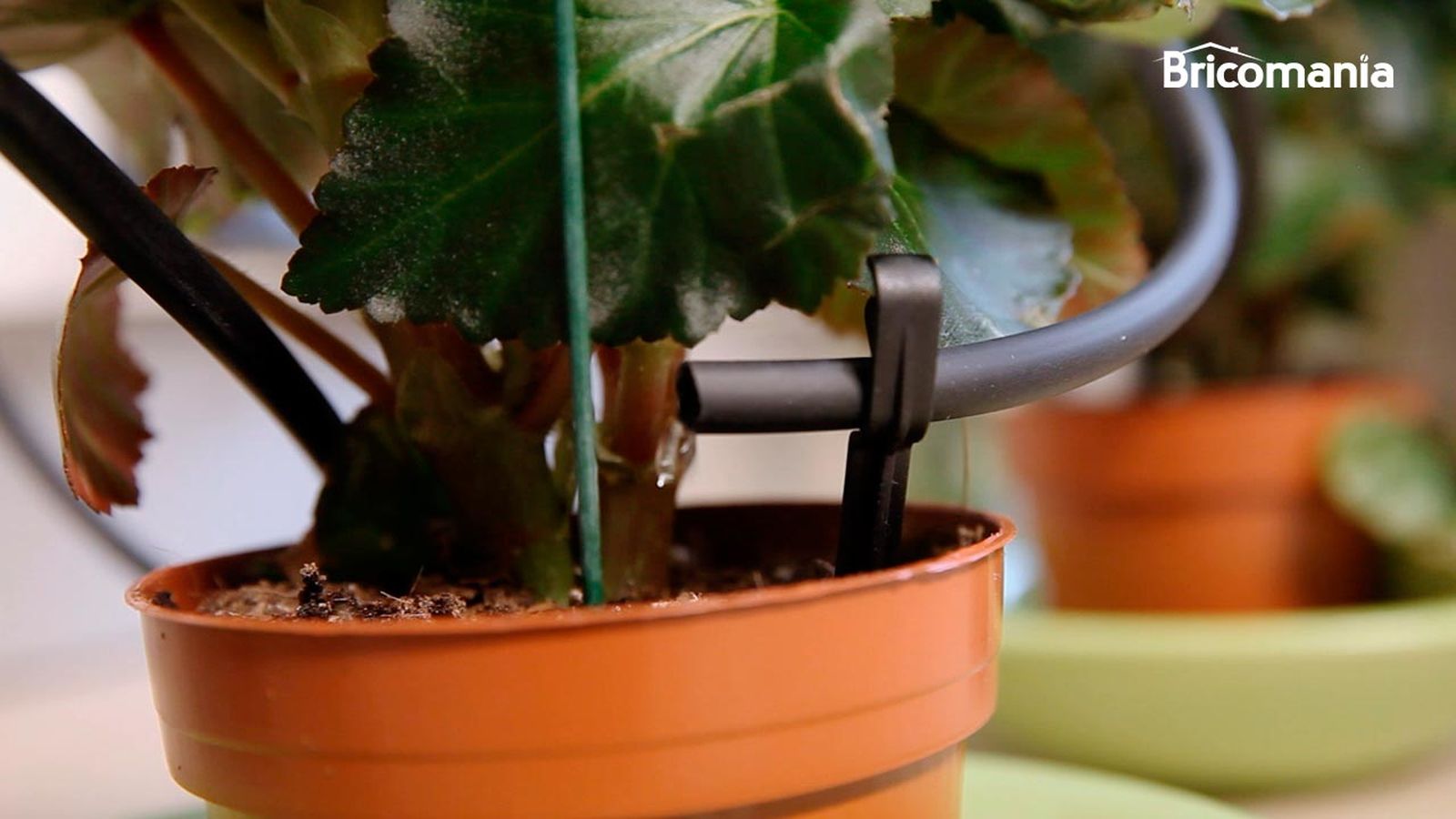 Kit de riego para macetas