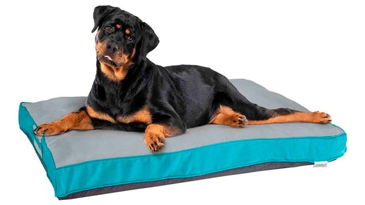 cama perros grandes lidl