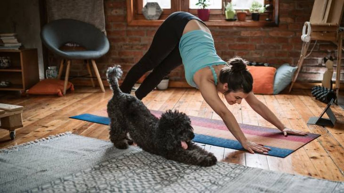 deportes con perros yoga