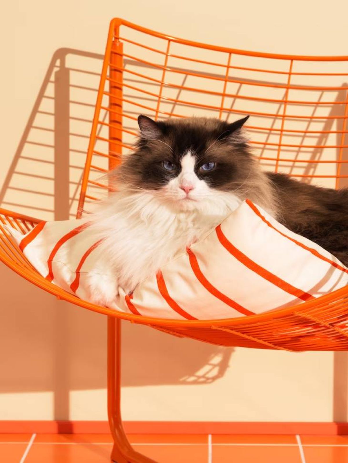 silla SKÅLBODA ikea