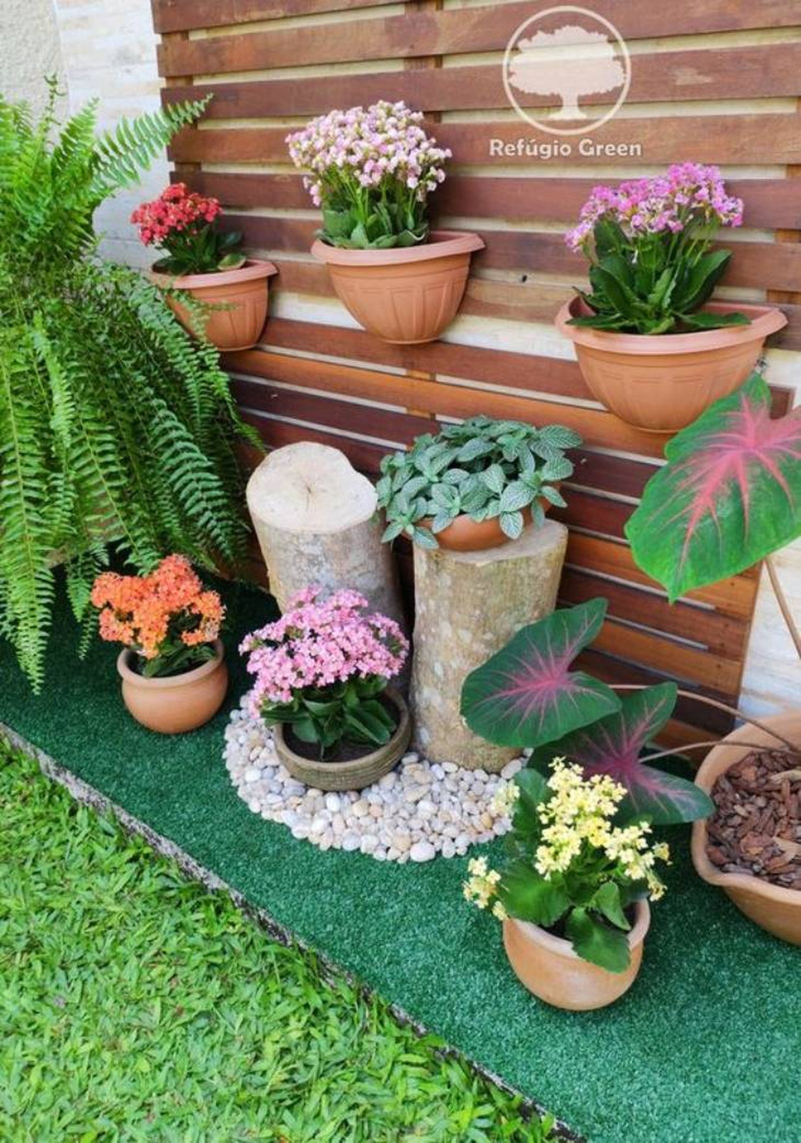 jardin pequeno flores